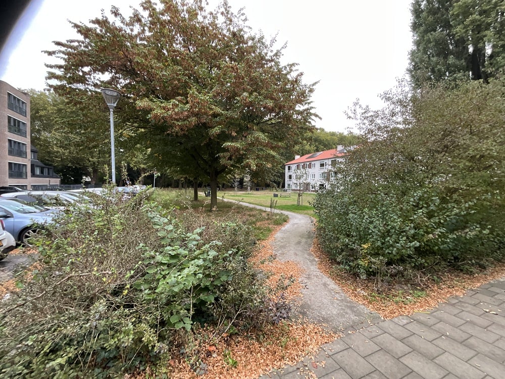 Pieter Breughelstraat 6