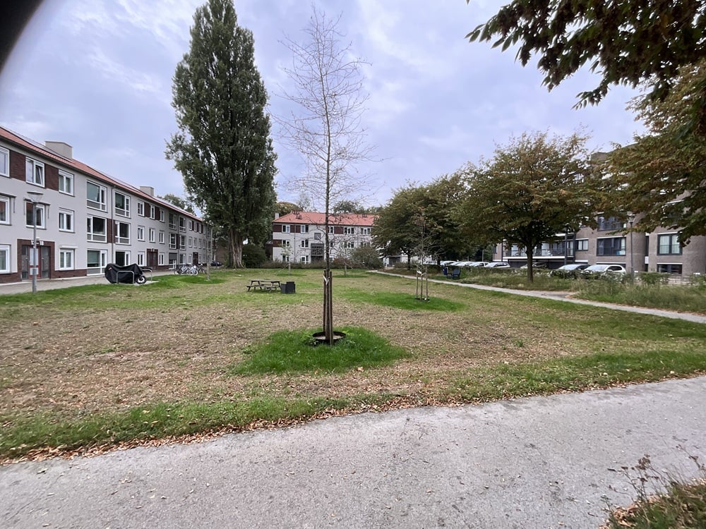 Pieter Breughelstraat 6