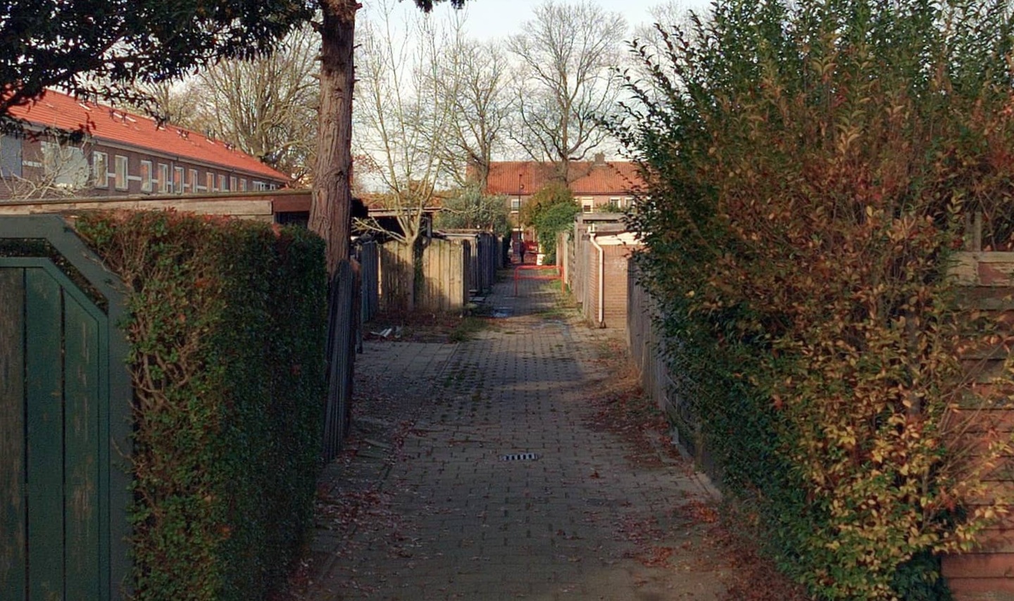 Professor van de Brinkstraat 16