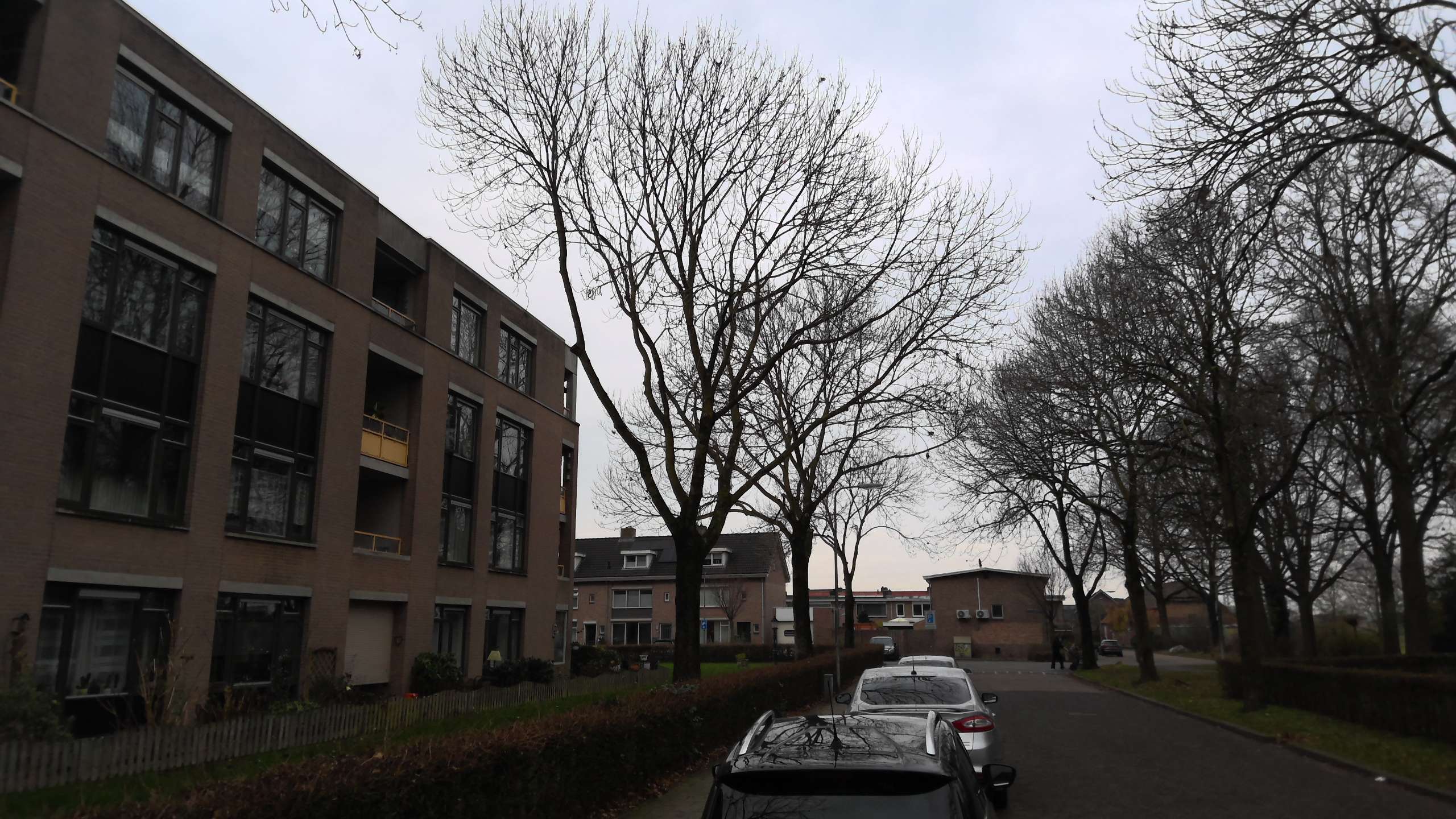 Jakob Goldsmidstraat 32