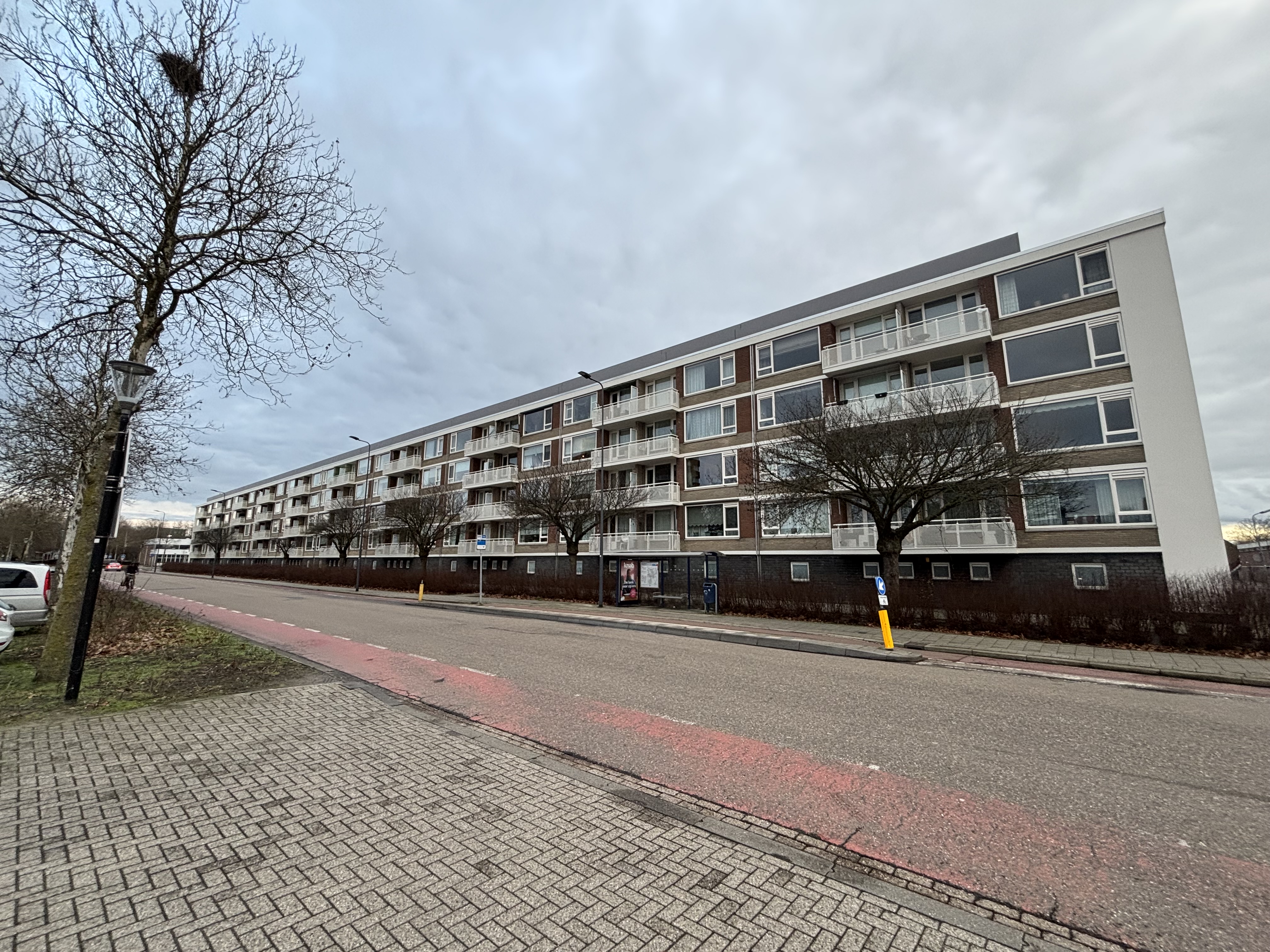 Rijzertlaan 82