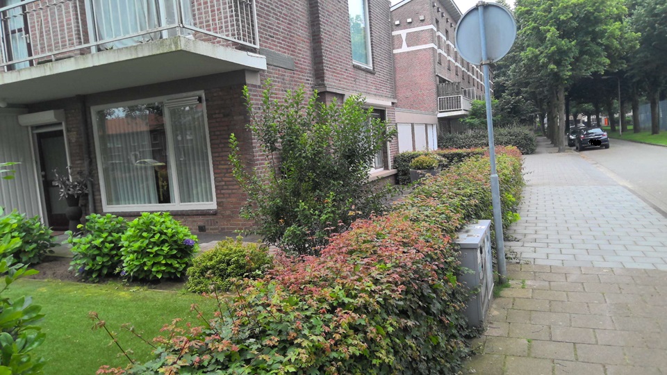 Singel 1940 1945 177