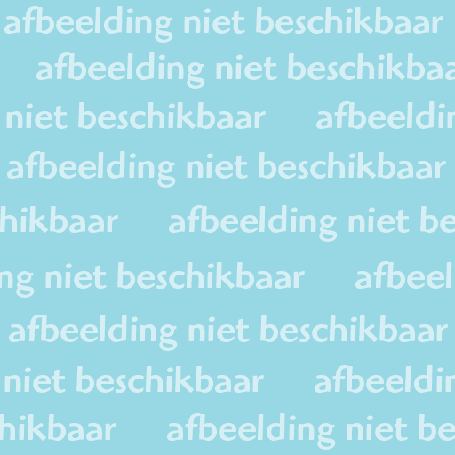 Rector van Asseldonkstraat 6, 5843 AV Westerbeek, Nederland