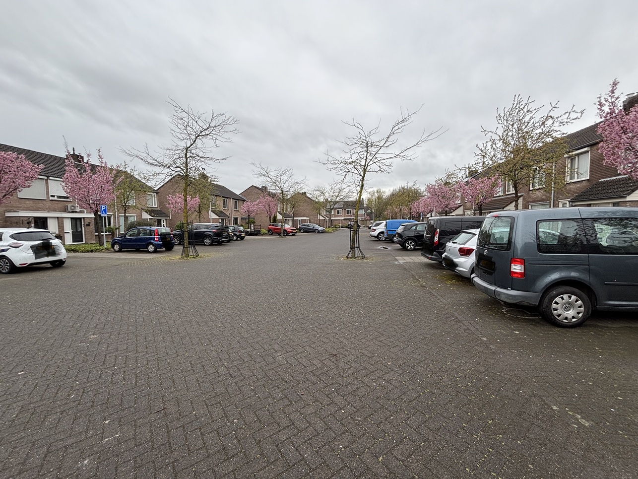 Meierij 52