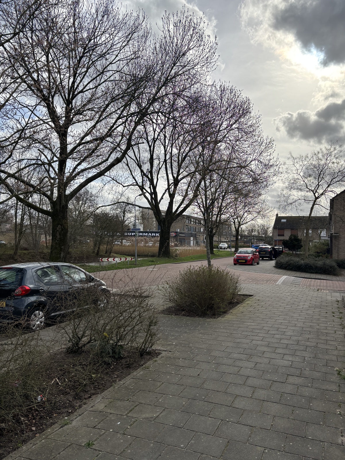 Adriaan Banckertsingel 11