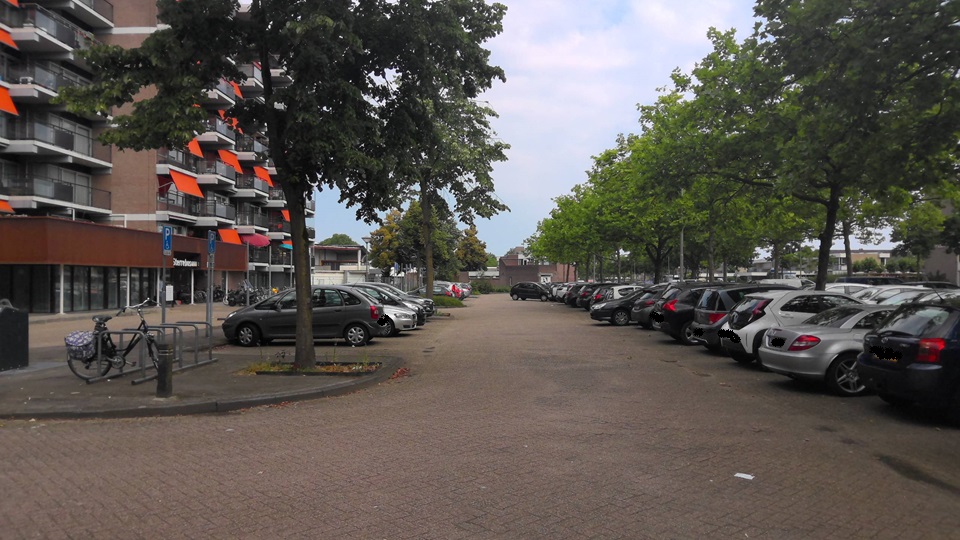 Sterrebos 452