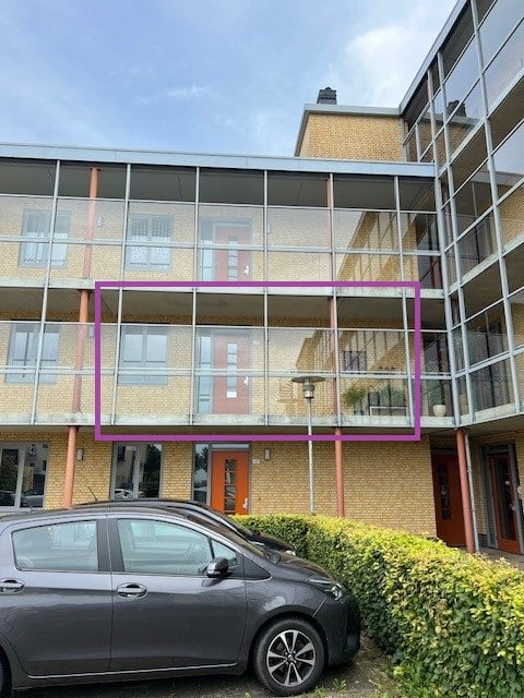 Muntmeester 539
