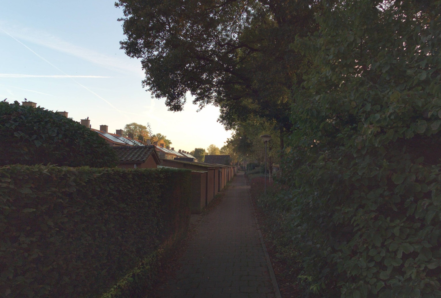 Johan van Willigenstraat 4