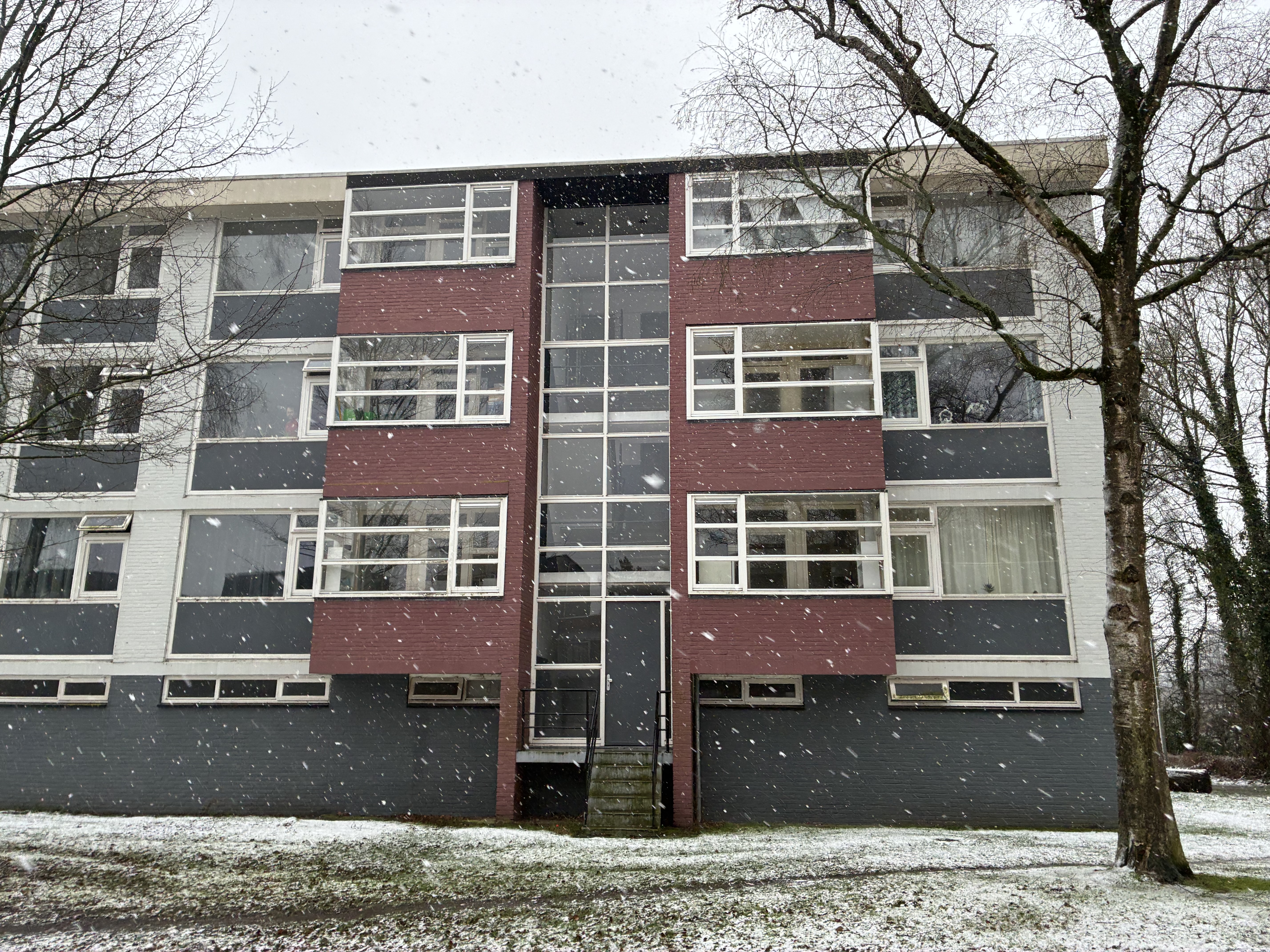 Baandervrouwenlaan 199