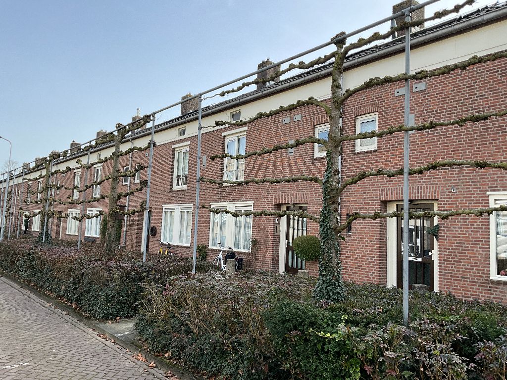 Arezzostraat 5, 5216 GM 's-Hertogenbosch, Nederland