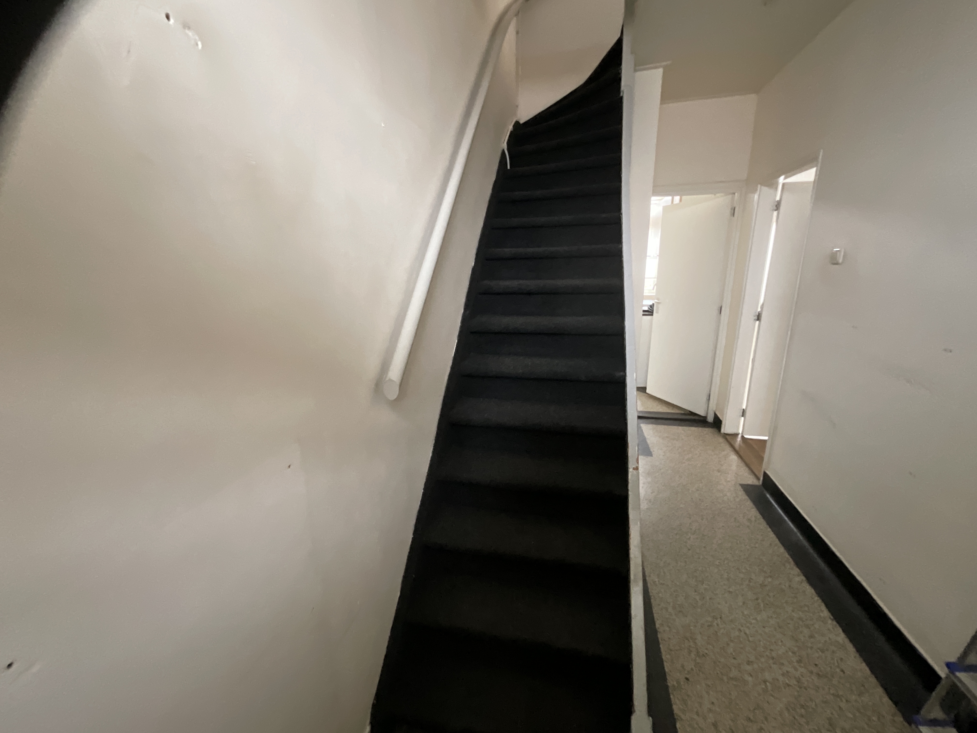 Pieter Vreedestraat 20