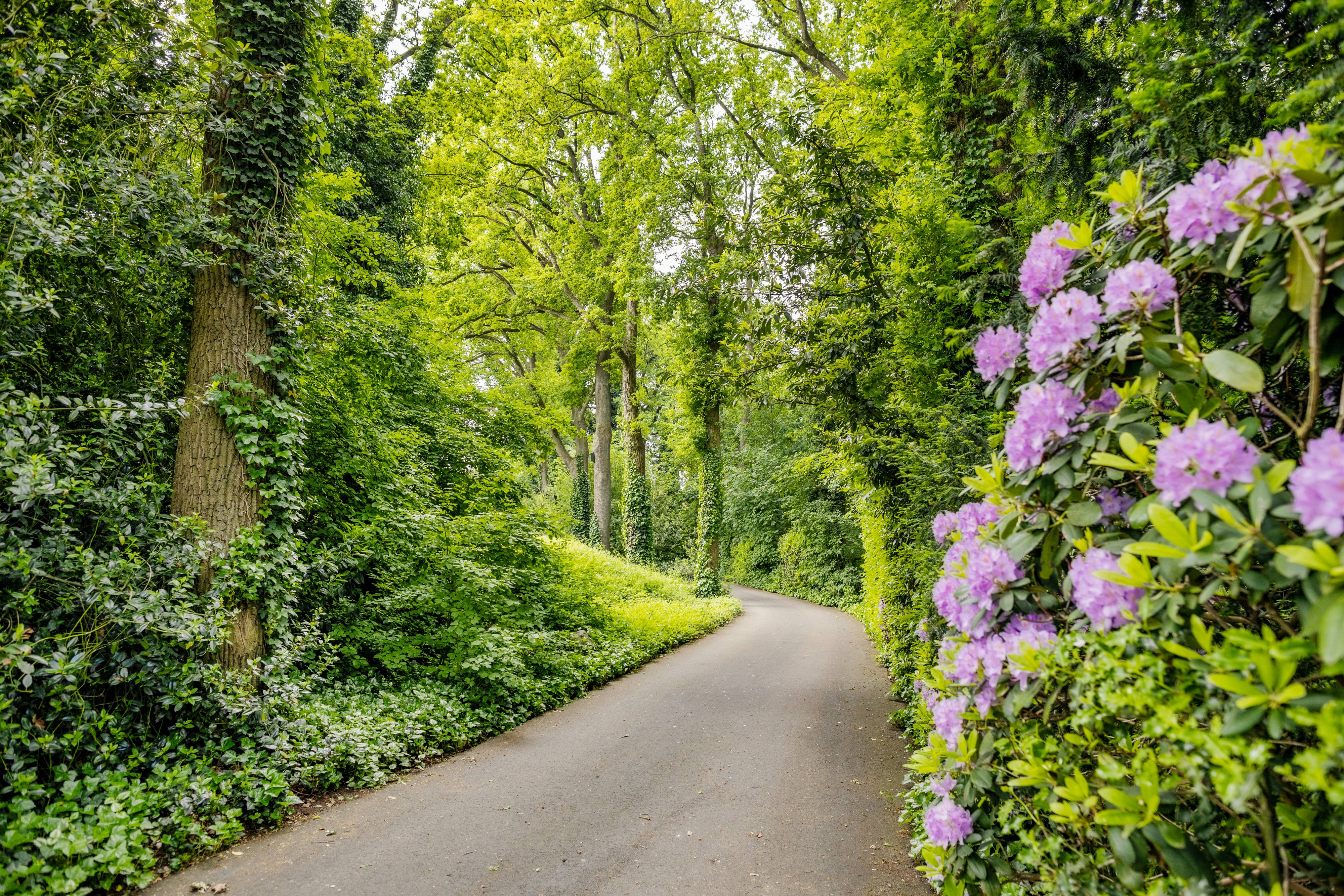 Park Eikenheuvel 102