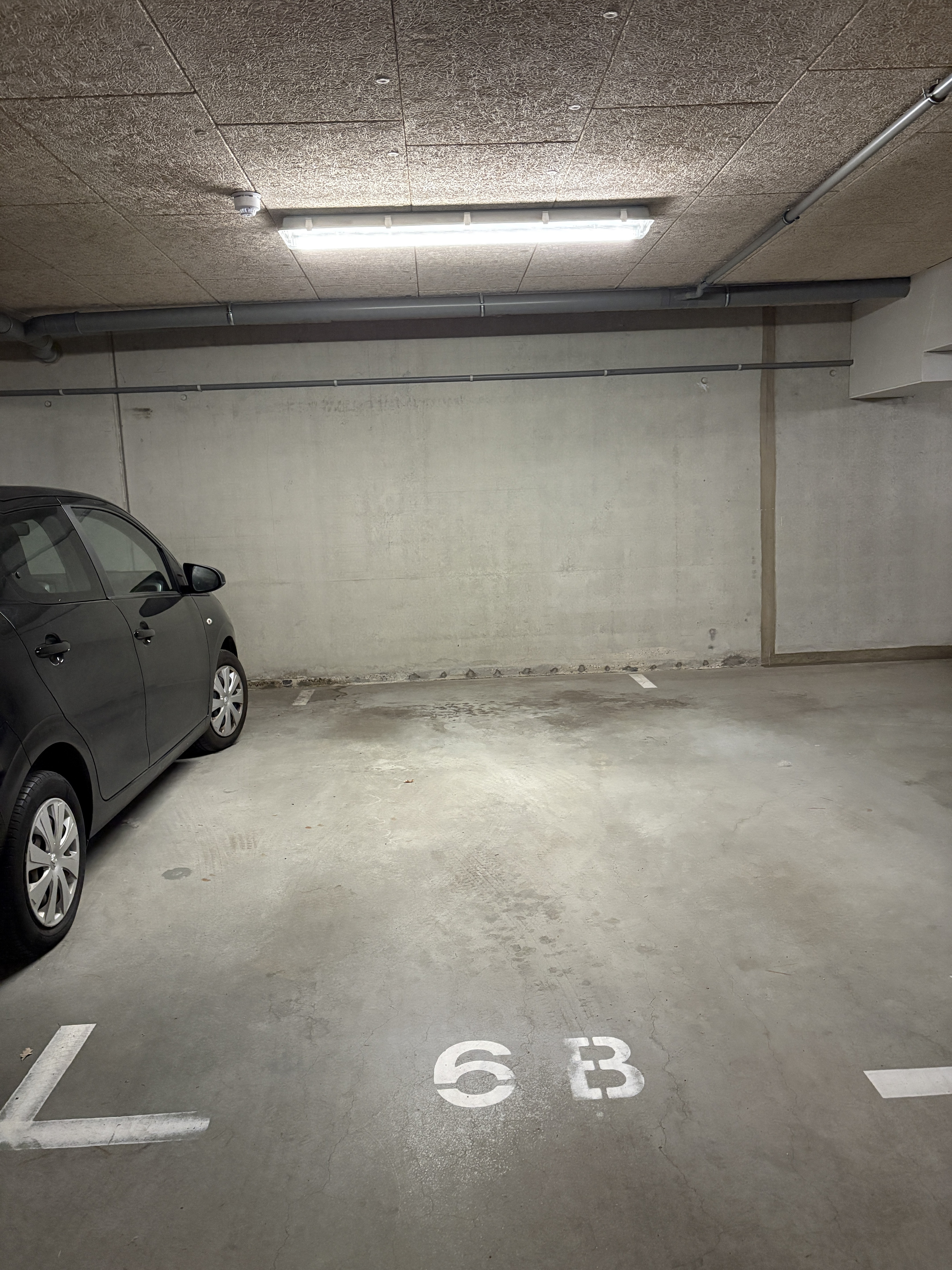 Vicaris van Alphenstraat 6b