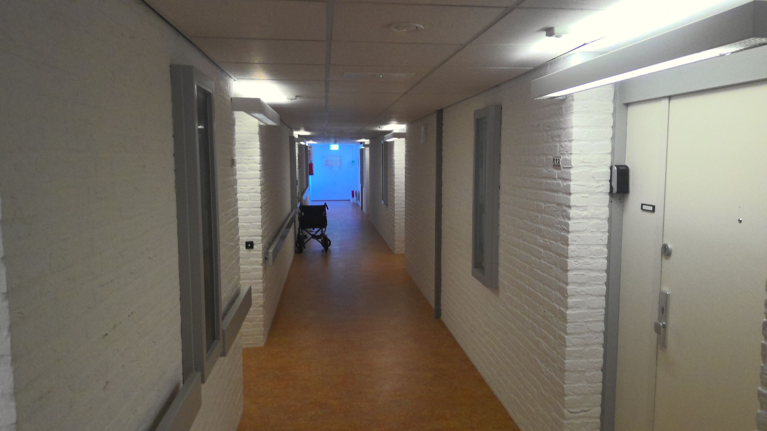 Grevelingen 338