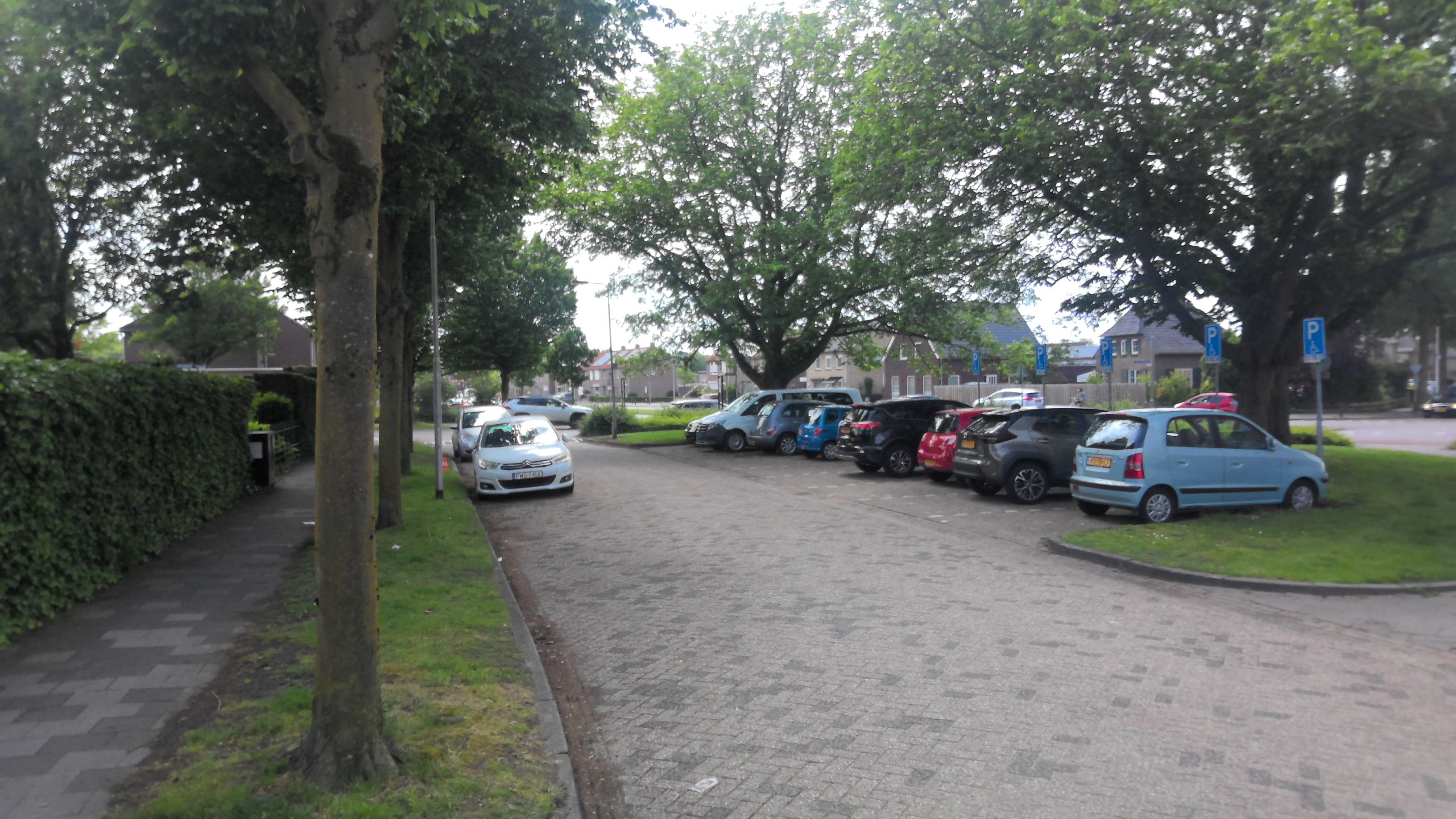 Driek van Erpstraat 119