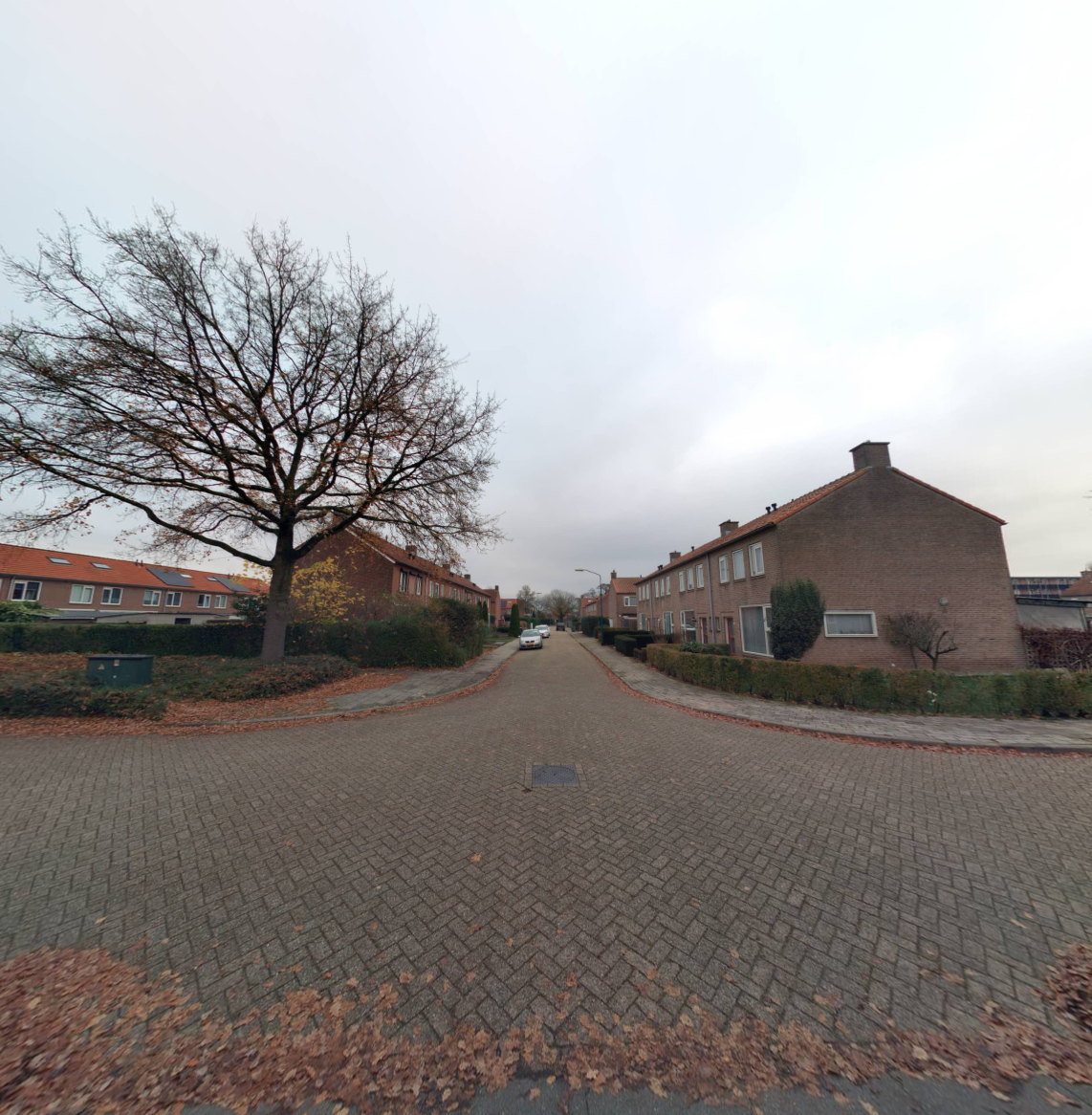 Pieter Brueghelstraat 4