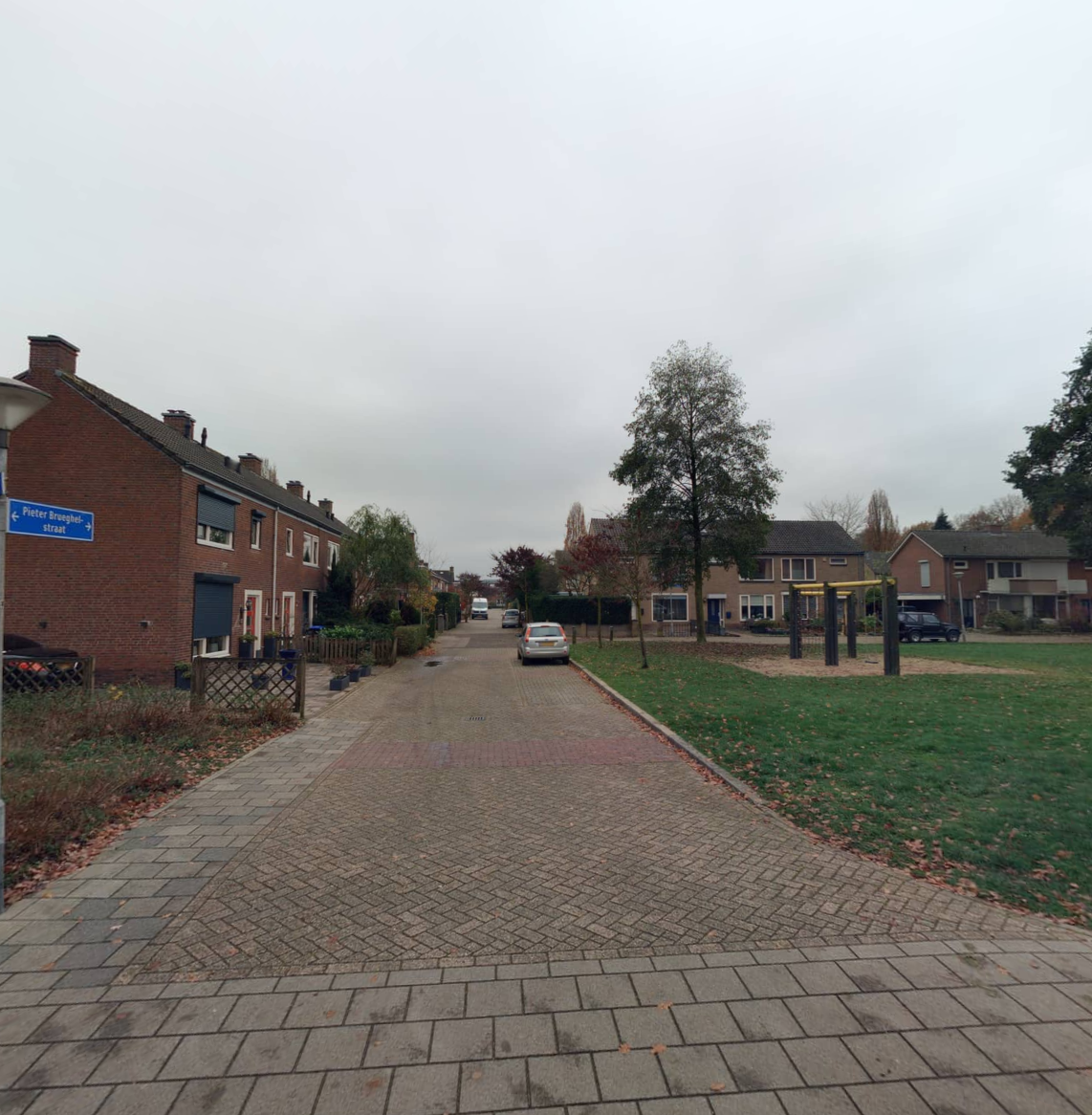 Pieter Brueghelstraat 4