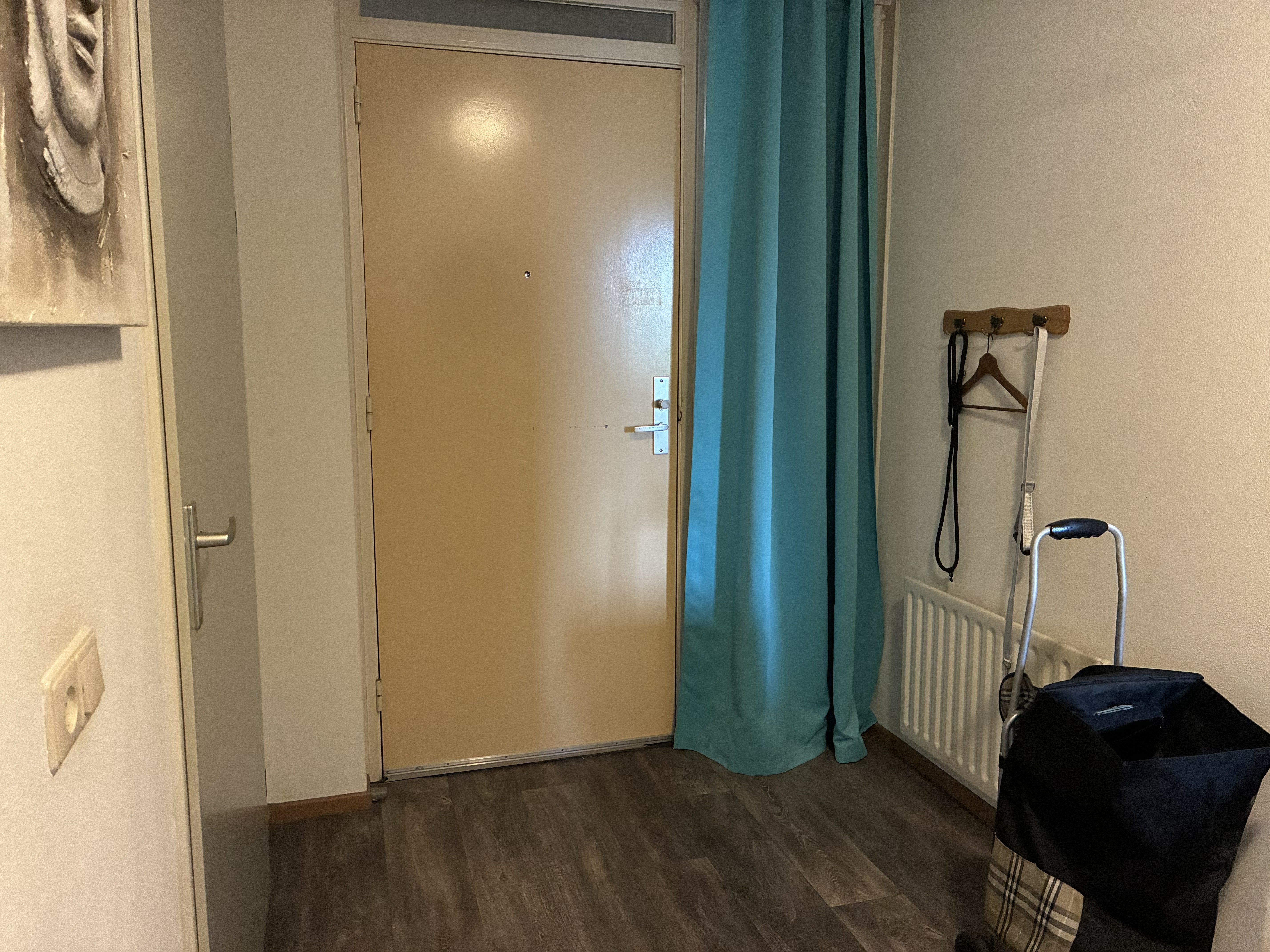 Annastraat 115
