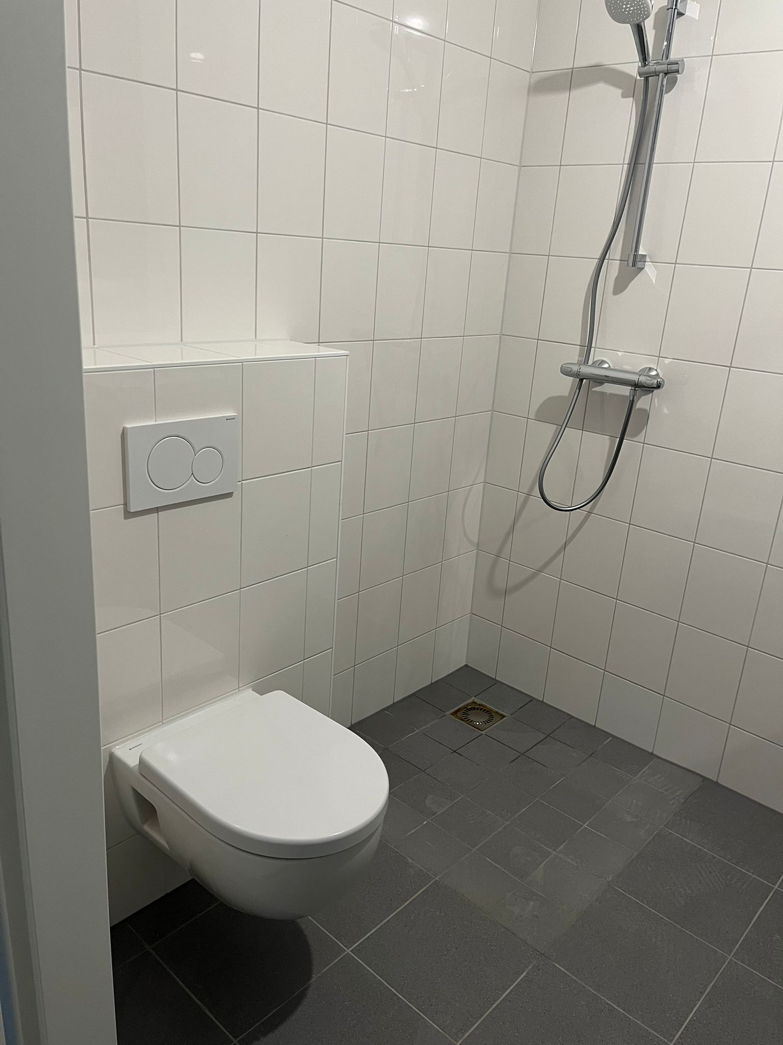 Bijenkorf 6