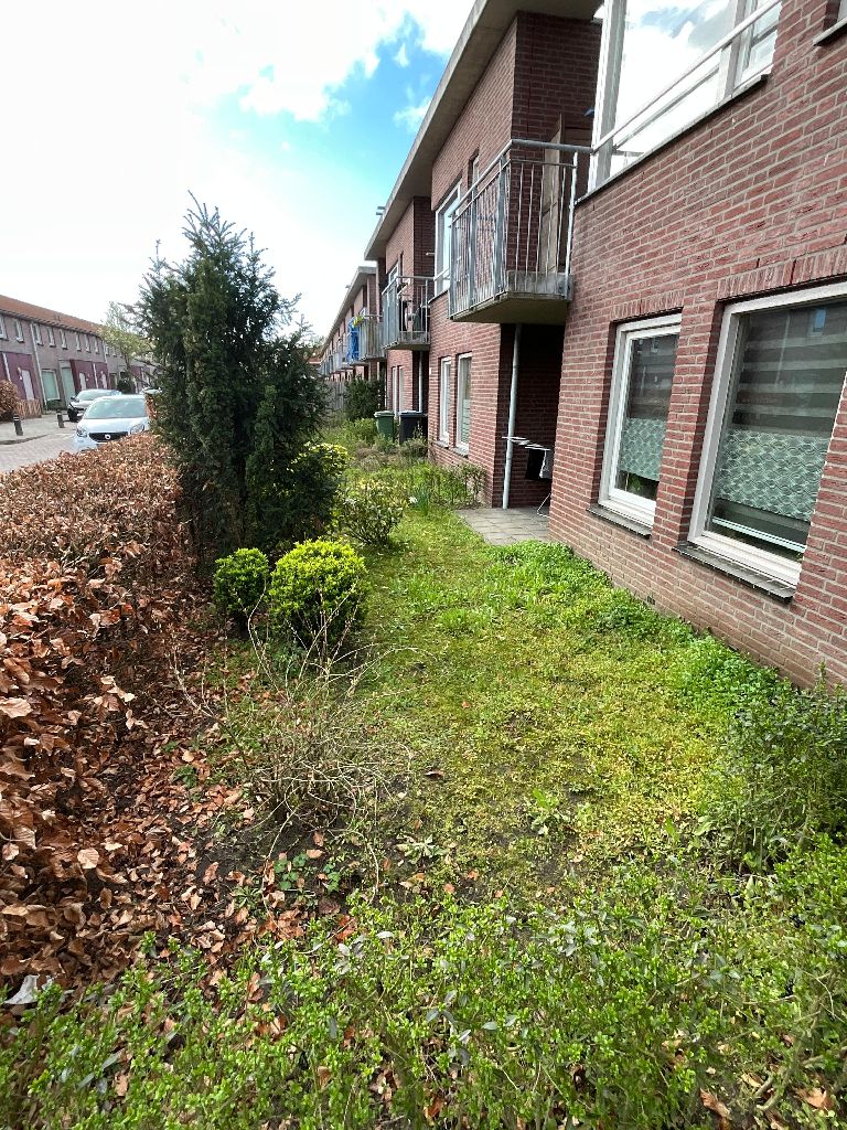 Doctor Ariënsstraat 5, 5213 VS 's-Hertogenbosch, Nederland