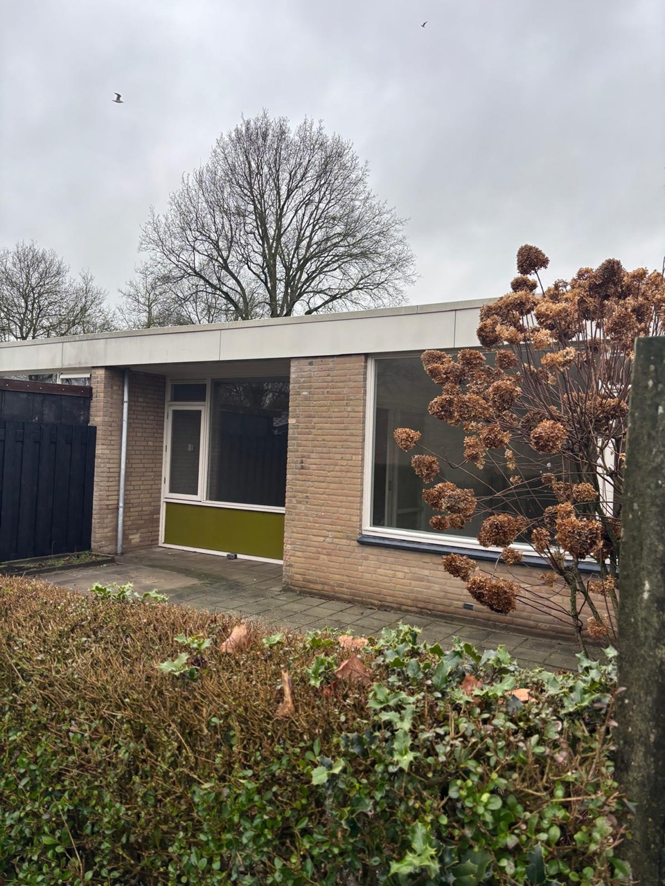 Da Costastraat 35