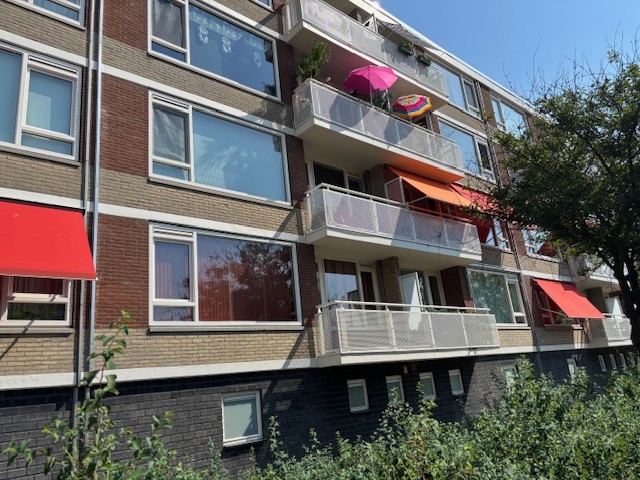 Rijzertlaan 14