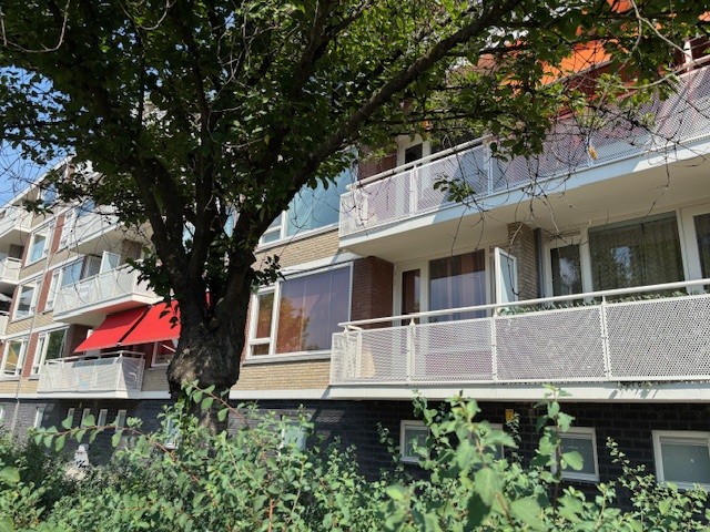 Rijzertlaan 14