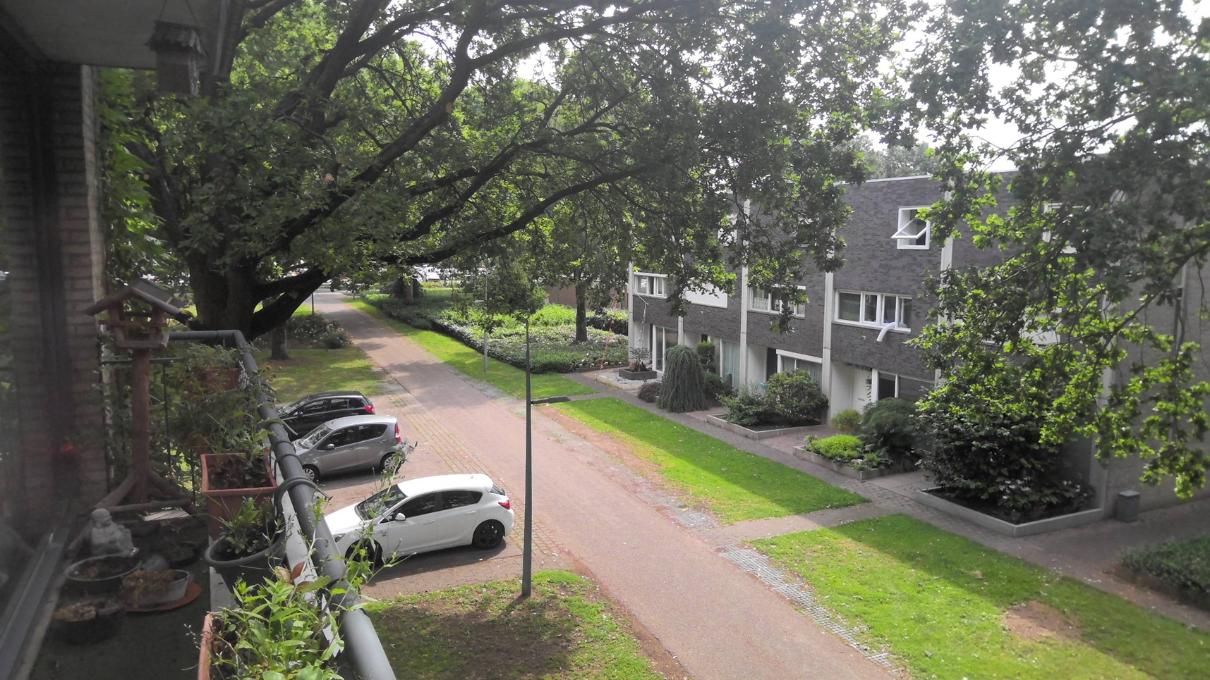 Schaepmanlaan 136