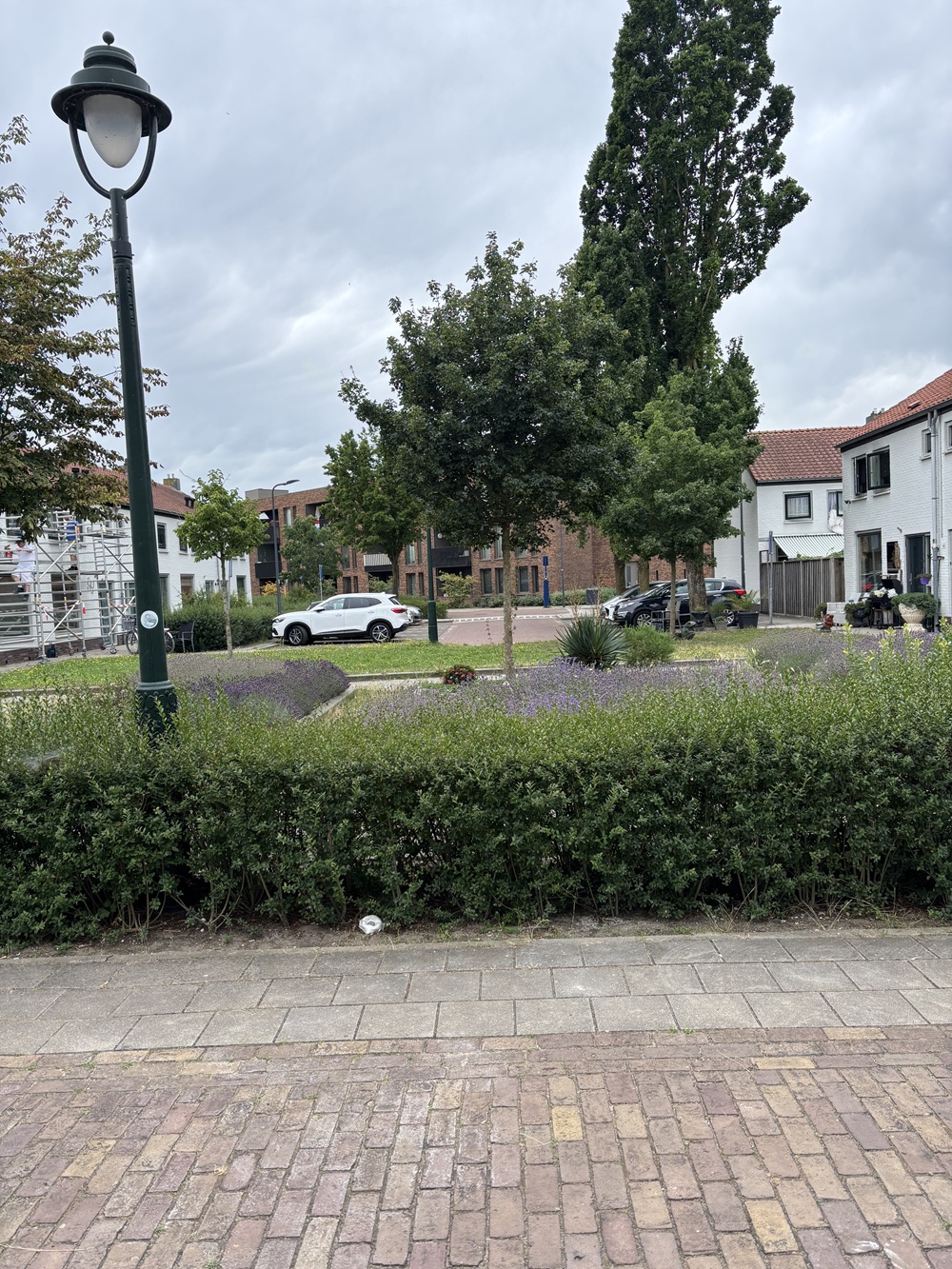 Oeterselaan 39