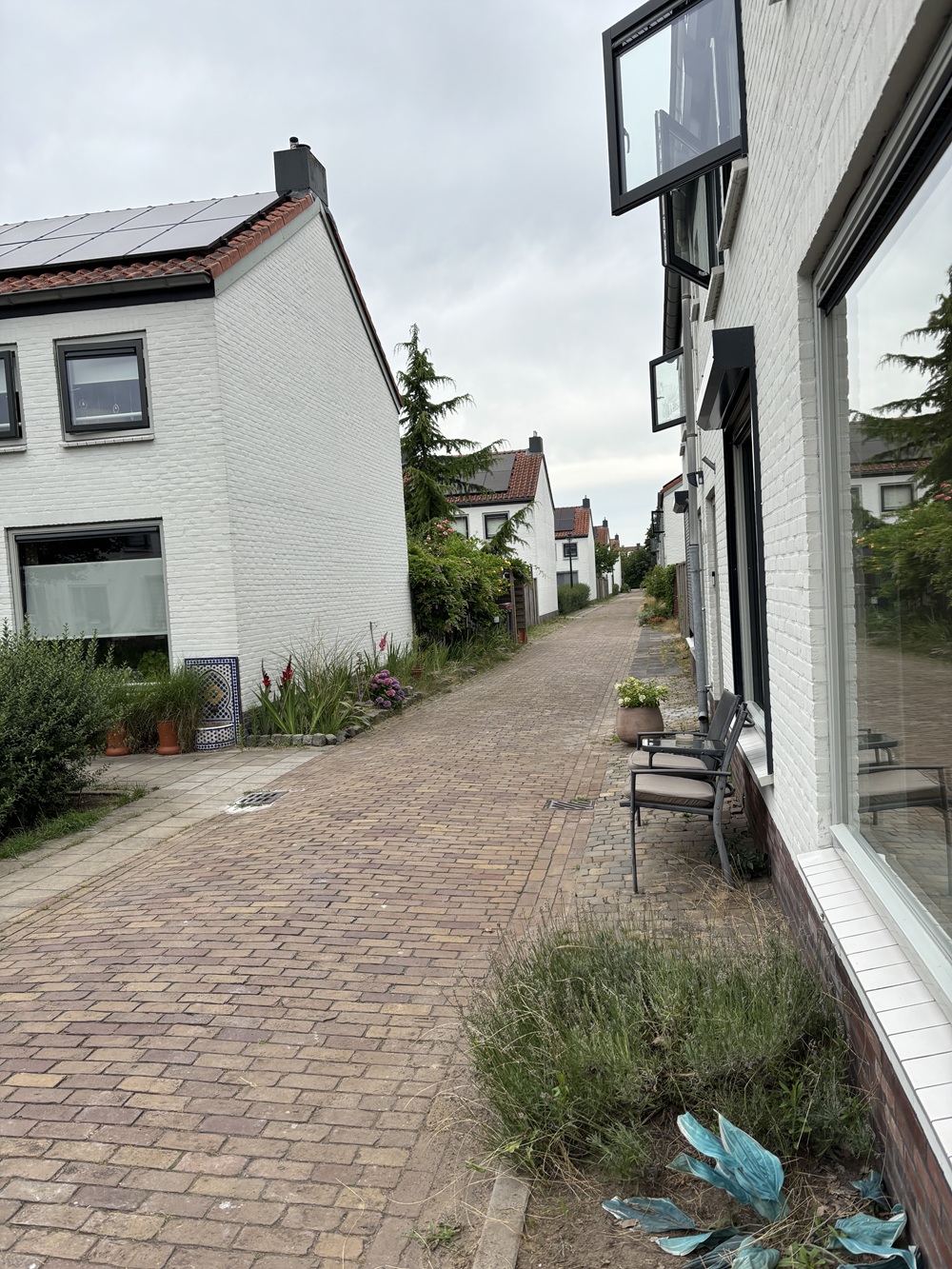Oeterselaan 39