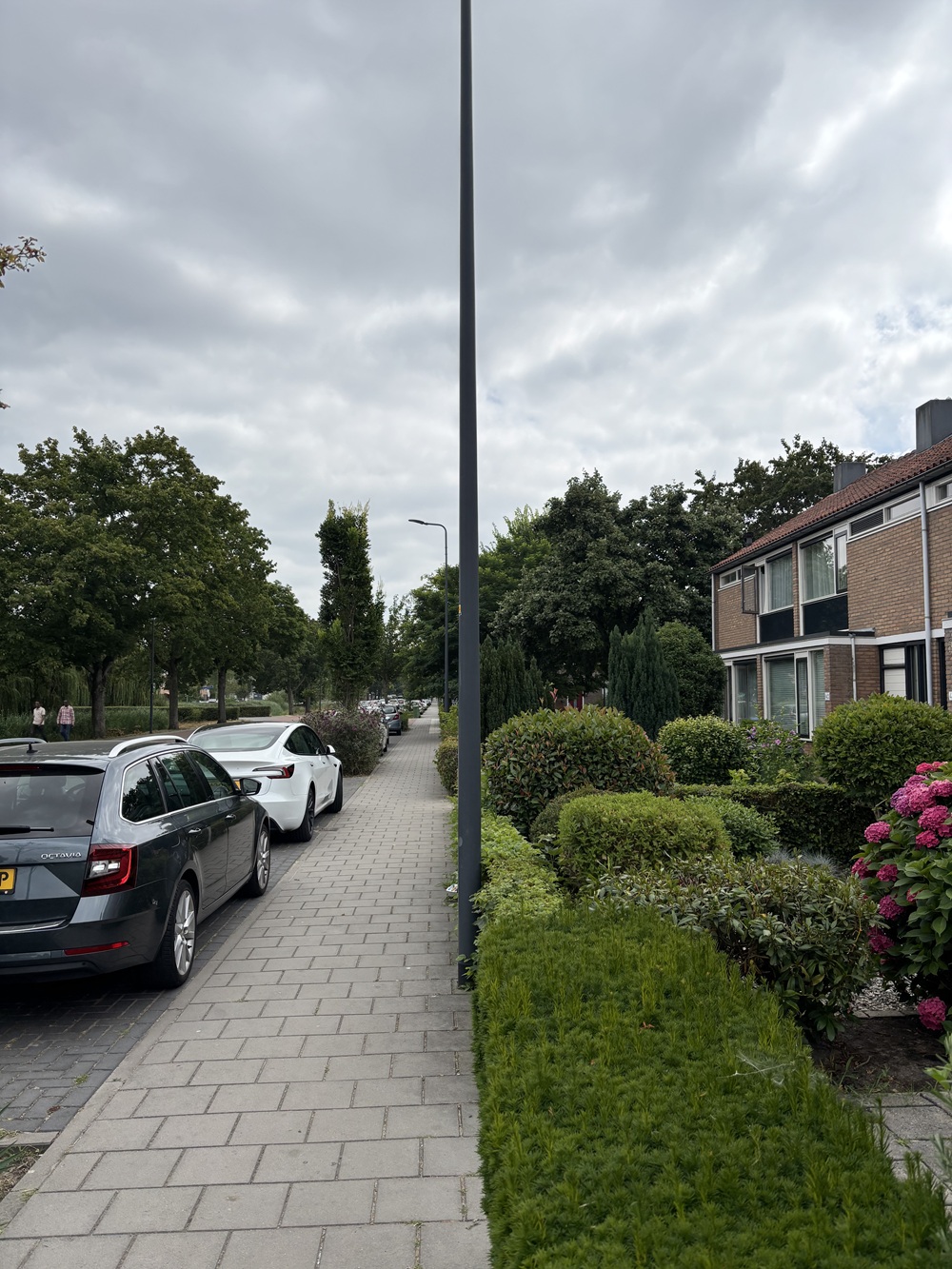 Boschmeersingel 46
