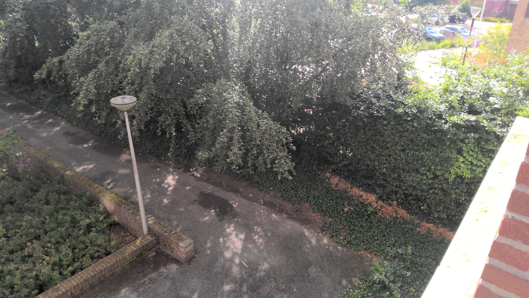 Begijnenstraat 43