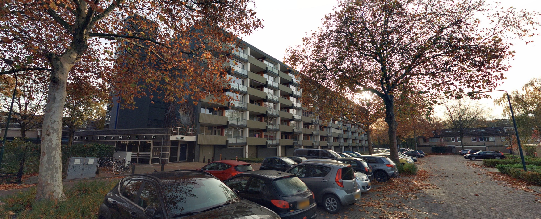 Patrijzenveld 63