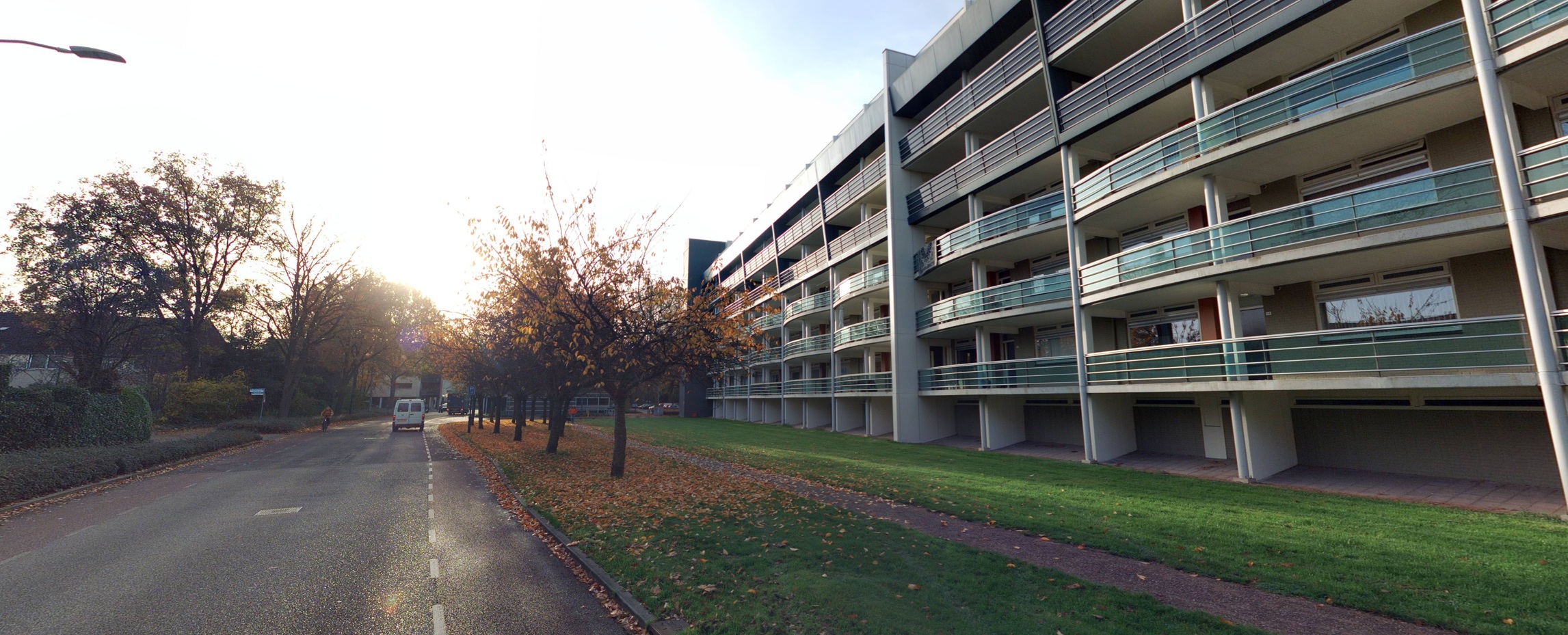 Patrijzenveld 63