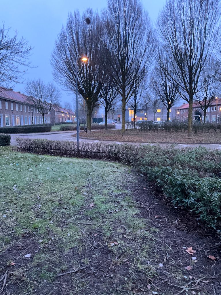 Palmboomstraat 114