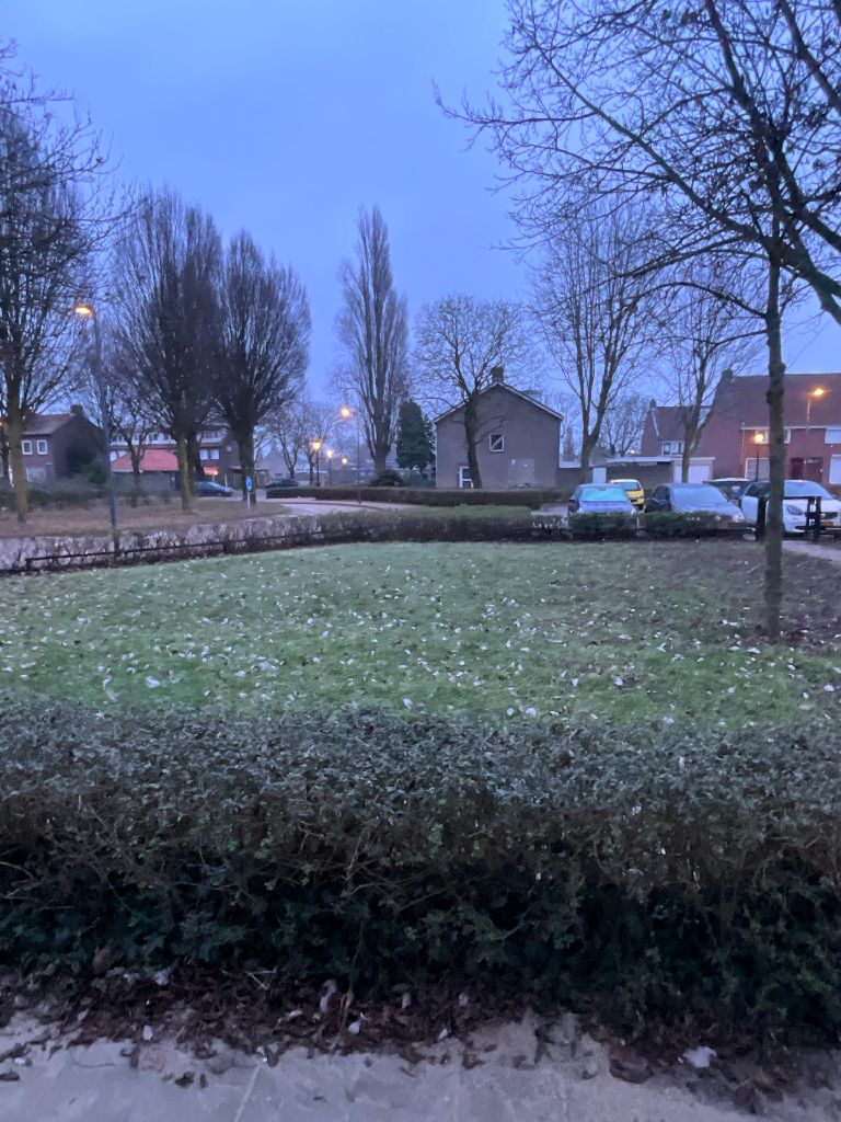 Palmboomstraat 114