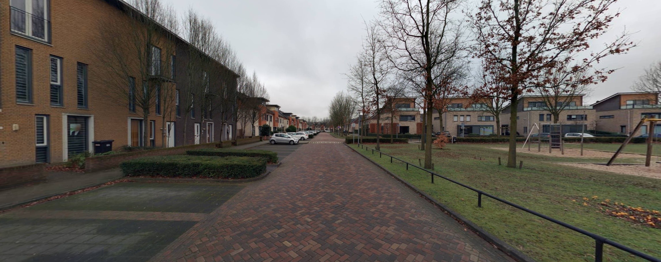 Biezenloop 50