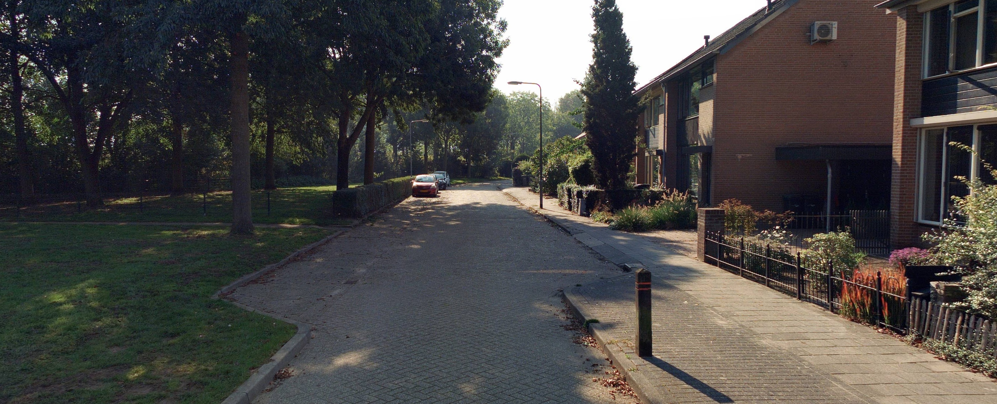 Graaf Alardstraat 50