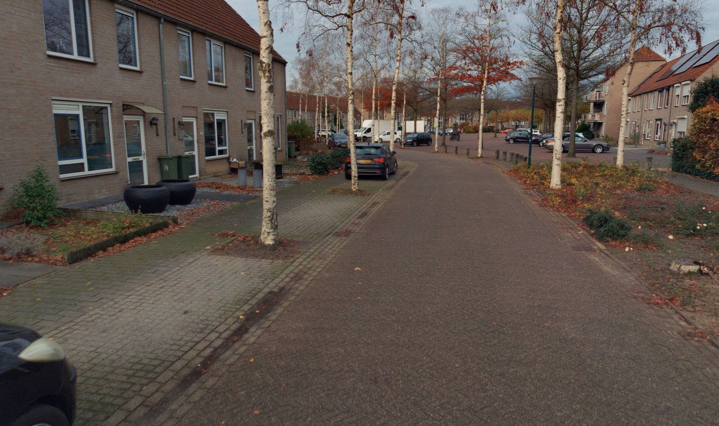 Wegedoorn 19