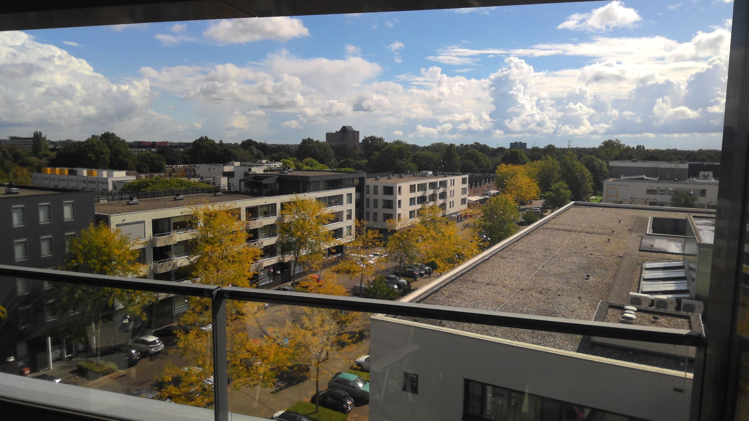 Manis Krijgsmanhof 21