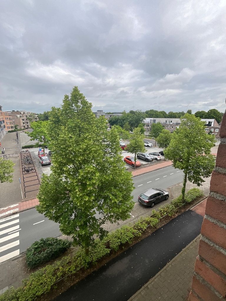 Zwartbroekweg 114