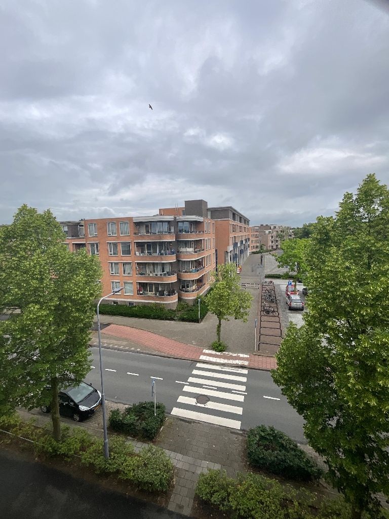 Zwartbroekweg 114