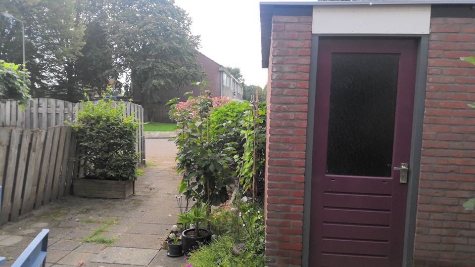 Hertewissel 61