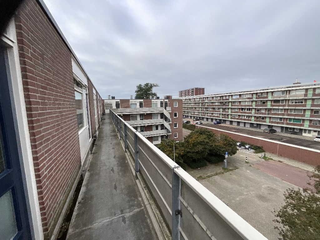 Schutskampstraat 75