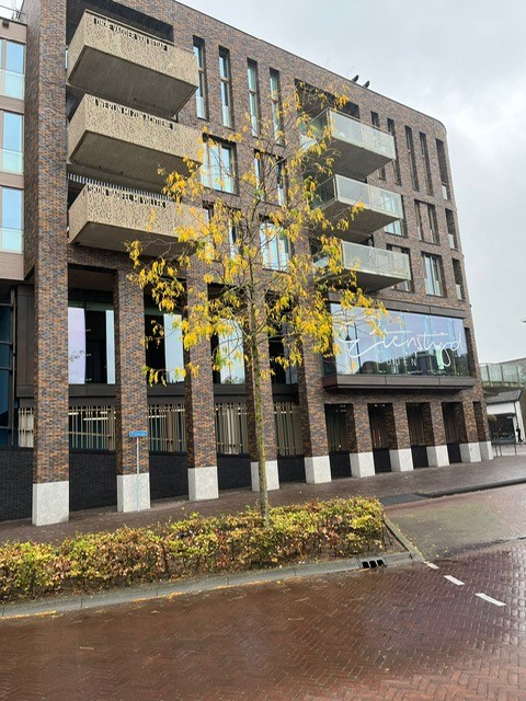 apartments for rent on Promenade 90