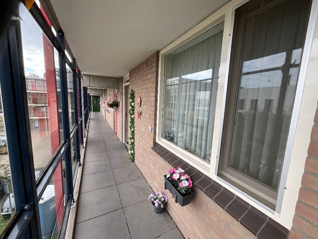 Van Leeuwenhoekstraat 42