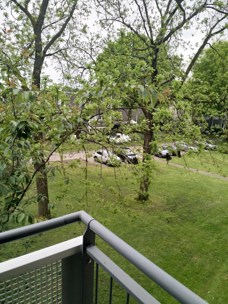 Schaepmanlaan 228