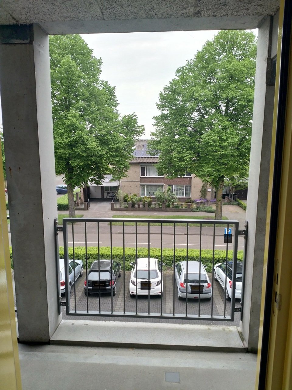 Schaepmanlaan 228