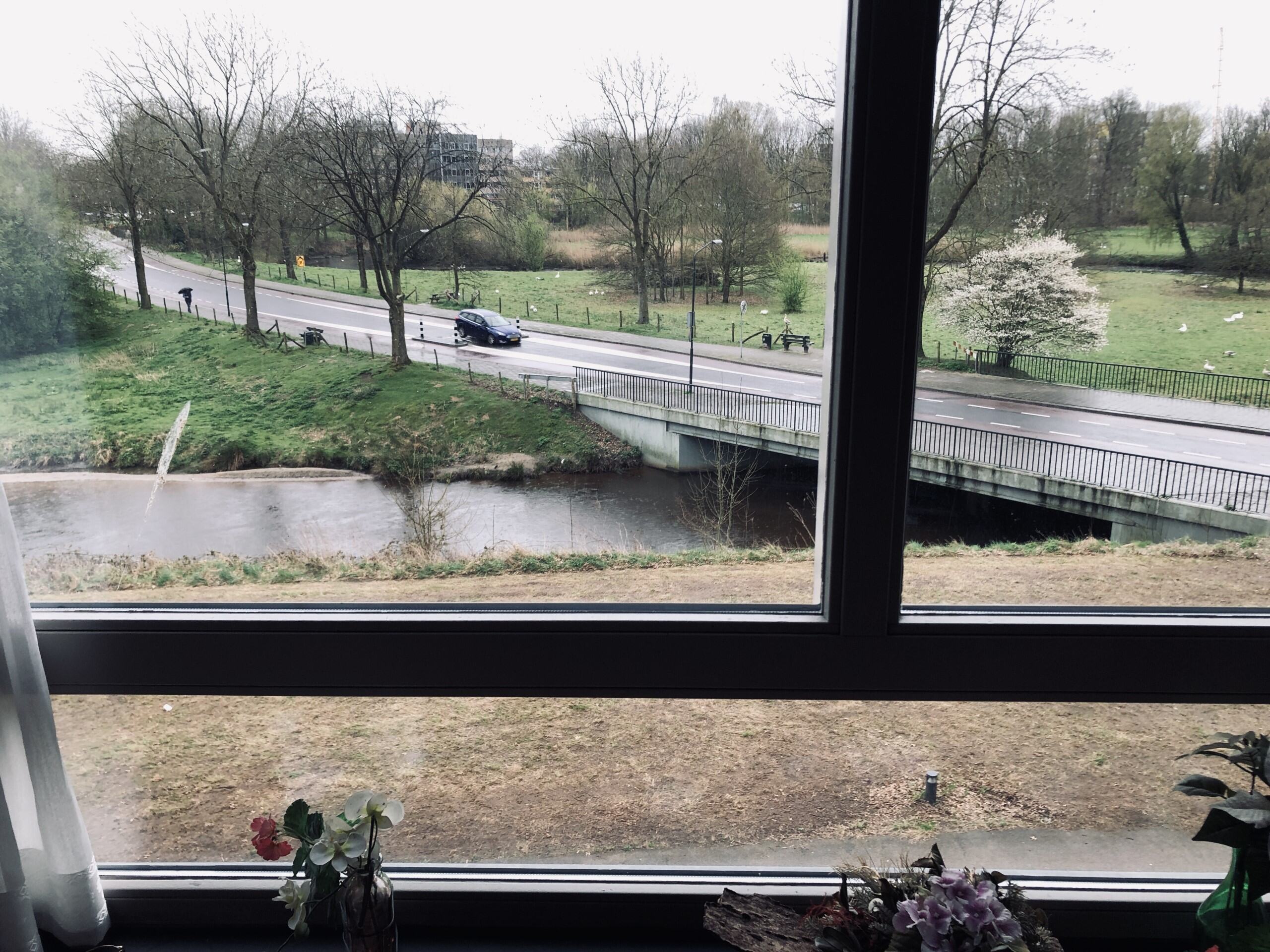 Rentmeester 53