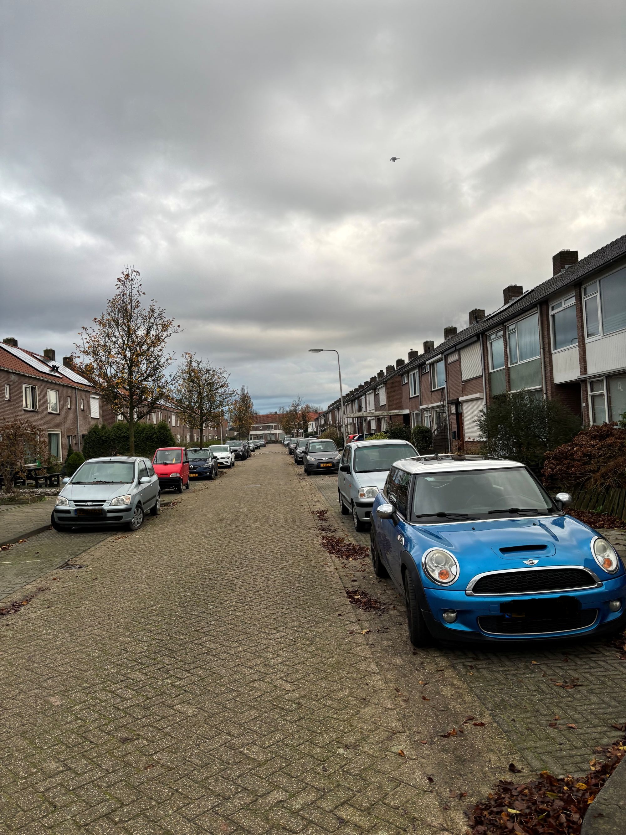 Karel de Stoutestraat 43